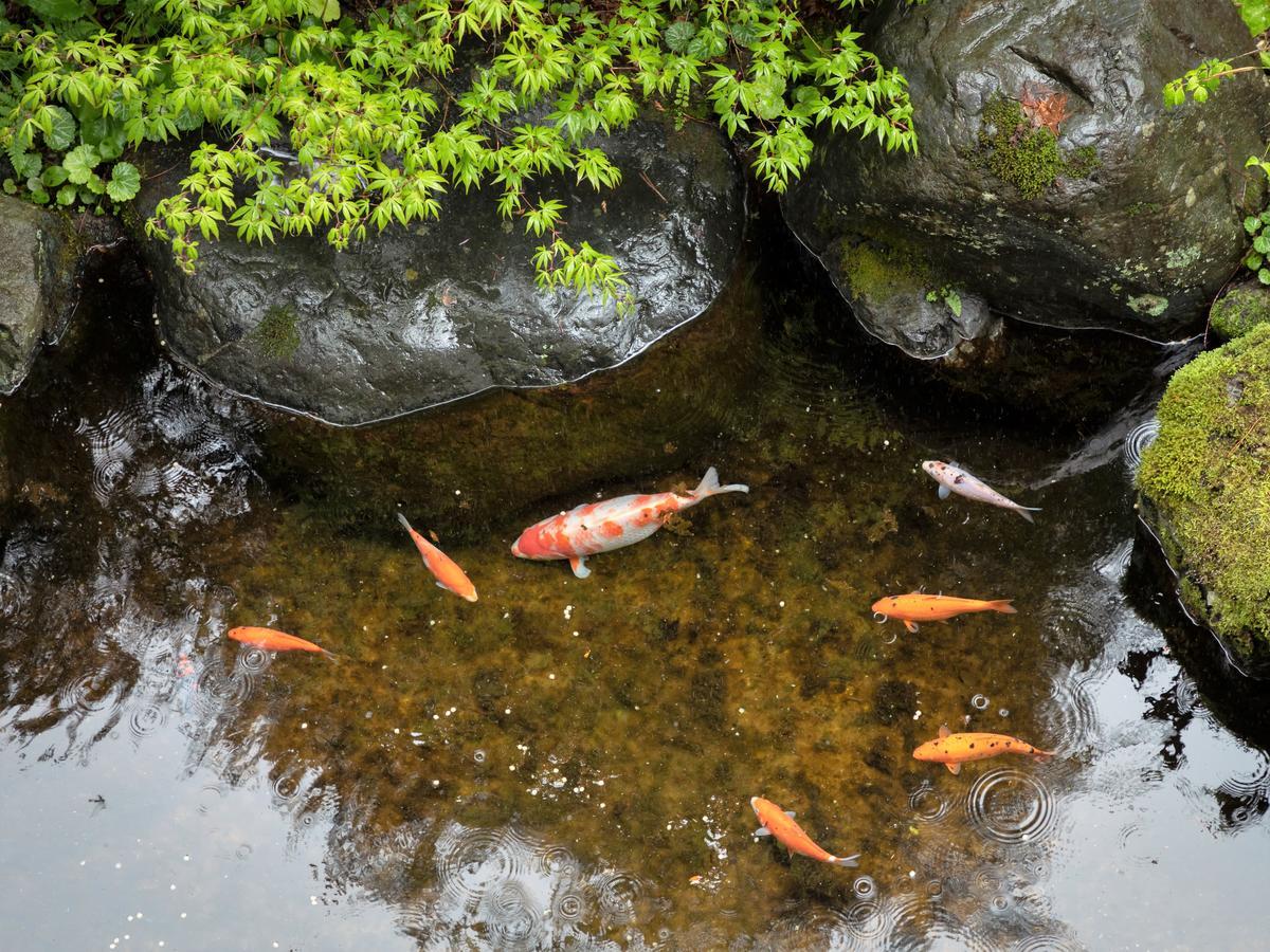 Ryokan Gizan Takayama  Exteriör bild